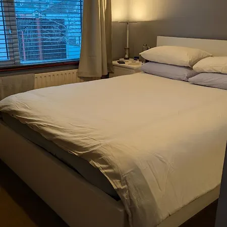 别墅 Spacious House In *