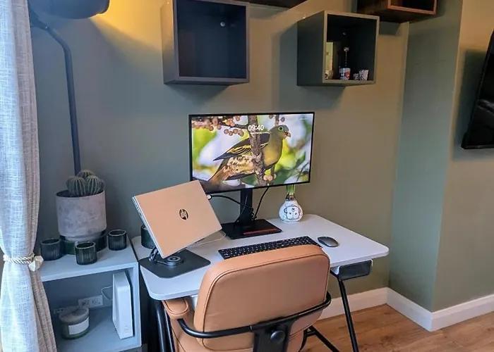 Spacious House In 别墅 都柏林