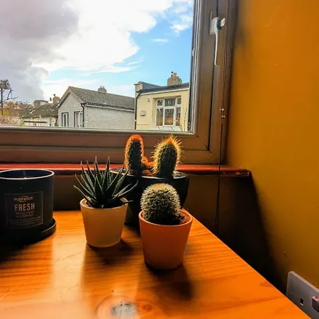 Spacious House In Willa